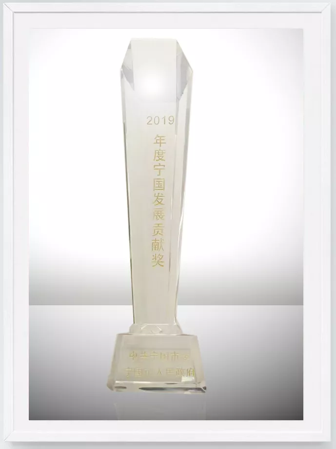 2019年度发展贡献奖