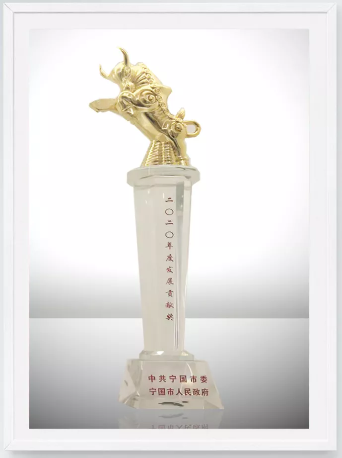 2020年度发展贡献奖