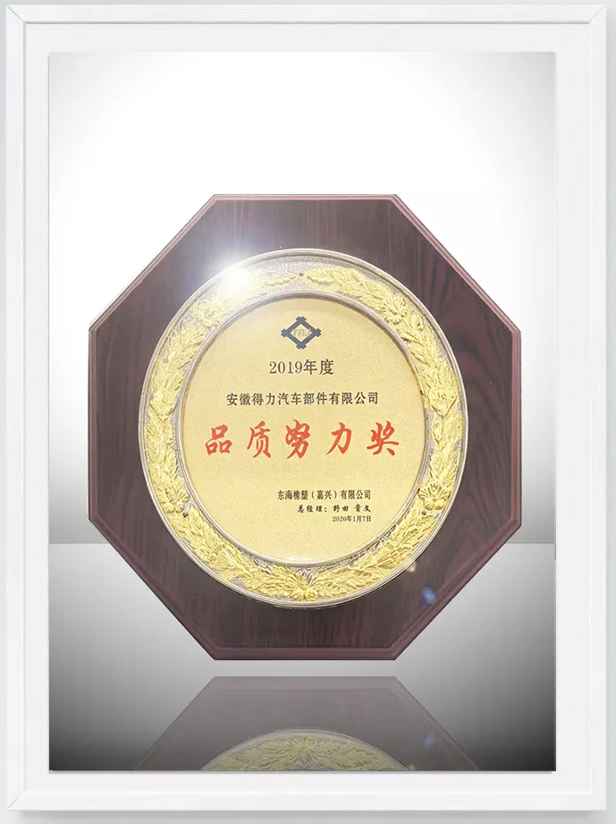 东海橡塑2019年度品质努力奖
